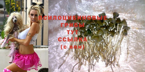 спиды Касимов